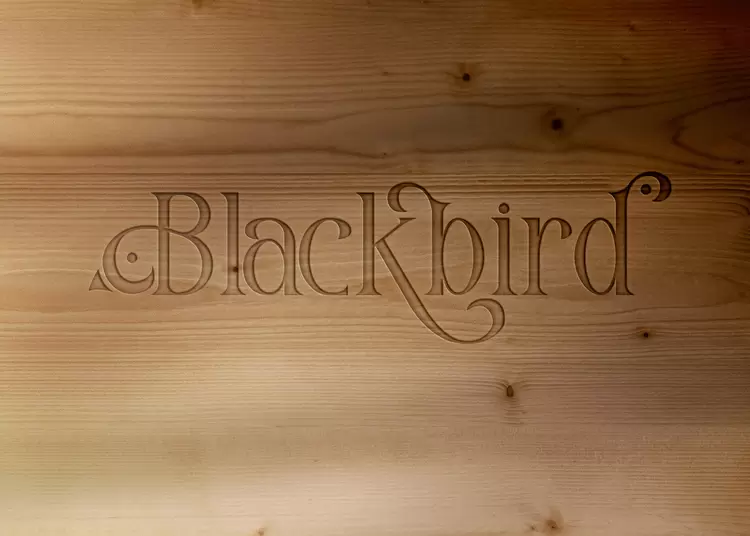 BLACK-BIRD藝術字
