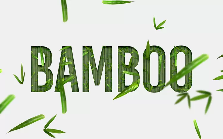 BAMBOO藝術字