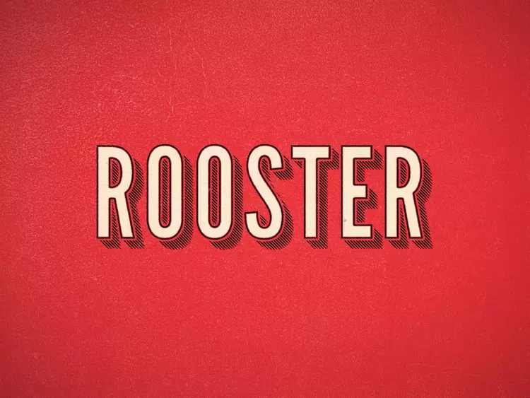 ROOSTER藝術字