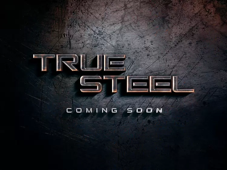 TRUE-STEEL藝術字