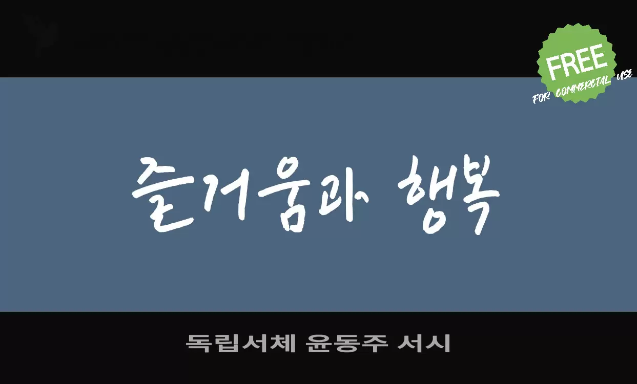 독립서체 윤동주 서시字型