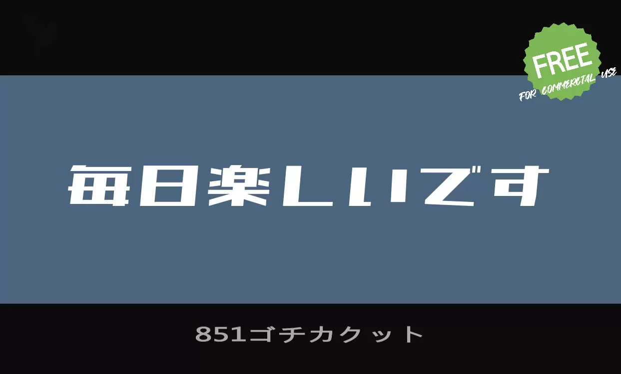 851ゴチカクット字型