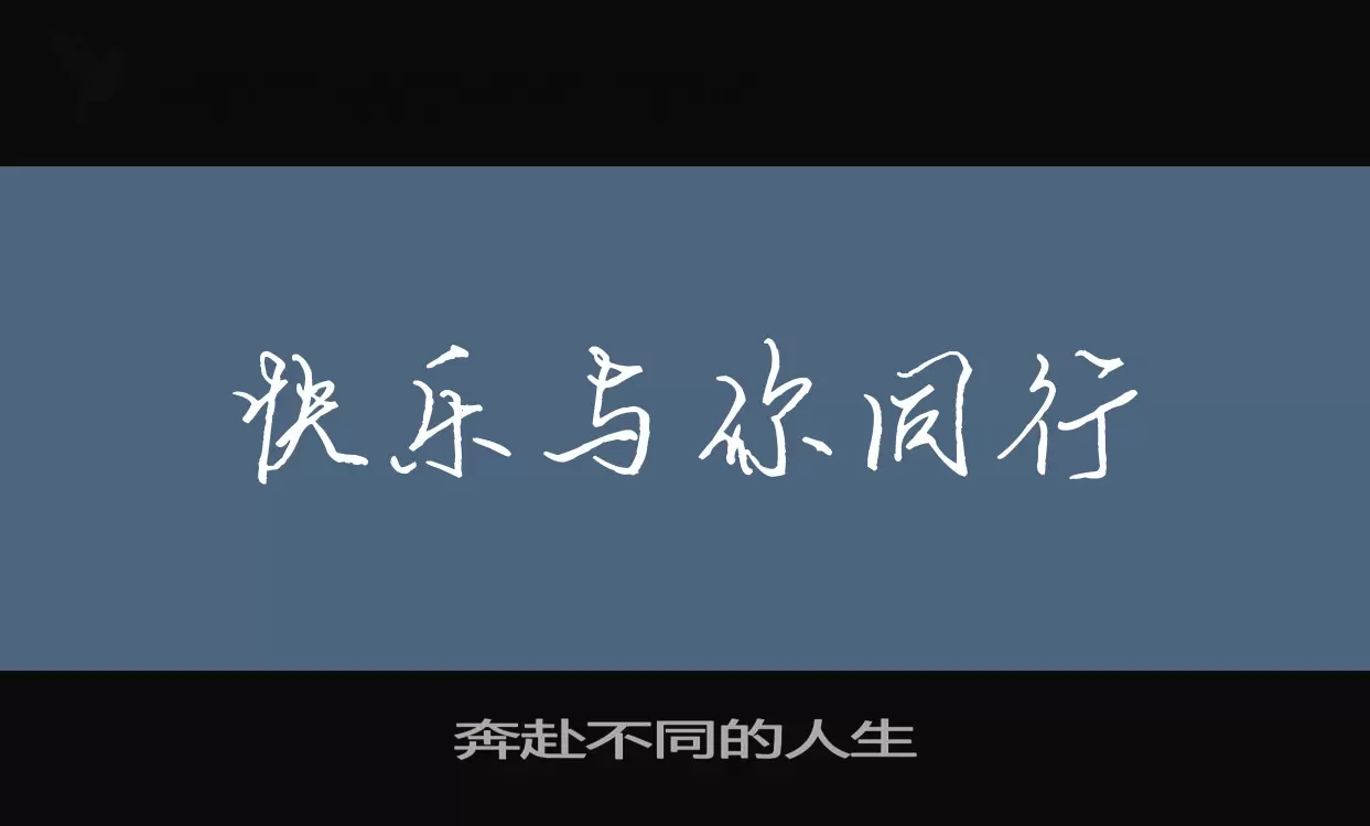 奔赴不同的人生字型