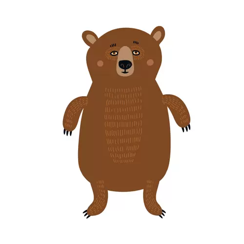 森林動物-熊插圖