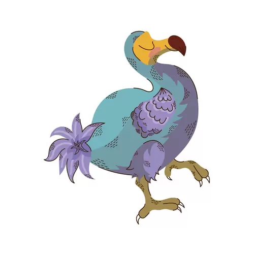 卡通動物-鸚鵡插圖素材