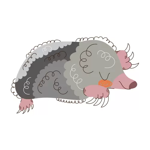 卡通動物-刺猬插圖素材