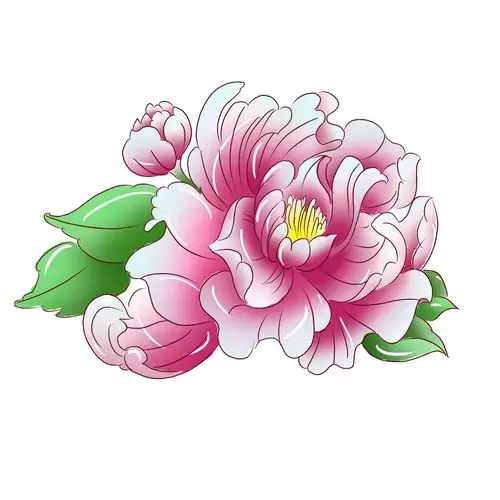 粉紅牡丹插圖素材