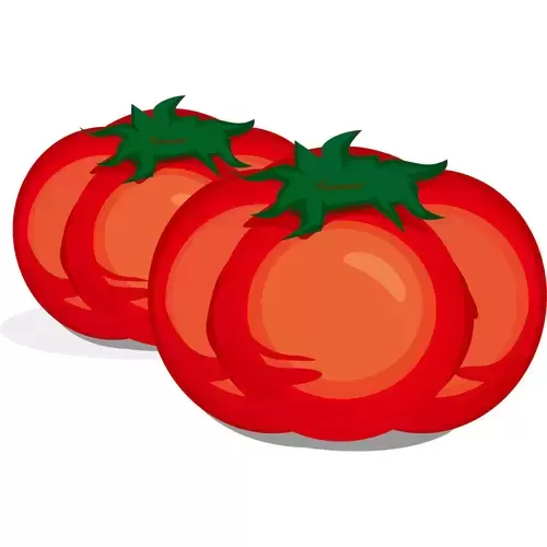 蔬菜-西紅柿插圖素材