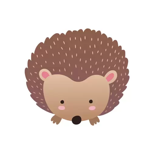 森林動物-刺猬插圖素材