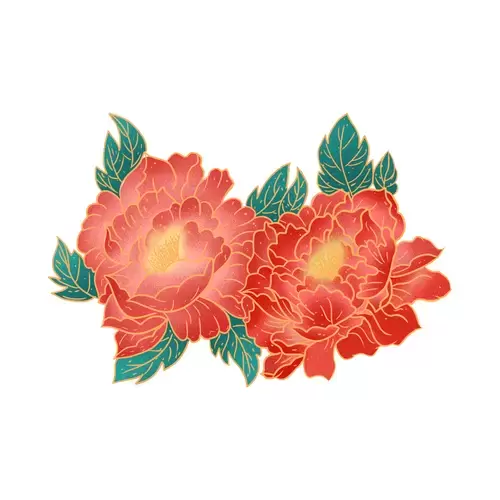 紅牡丹花插圖