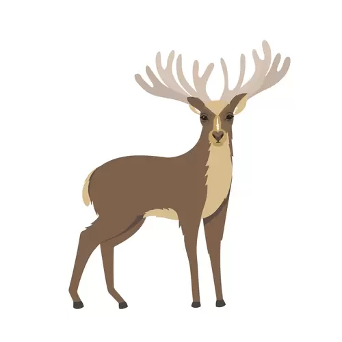 森林動物-麋鹿插圖素材