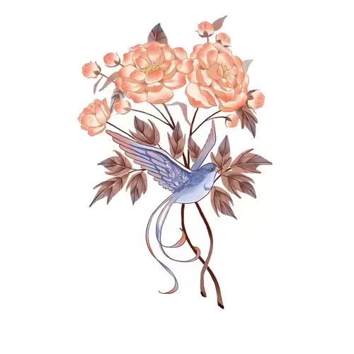 牡丹花插圖素材