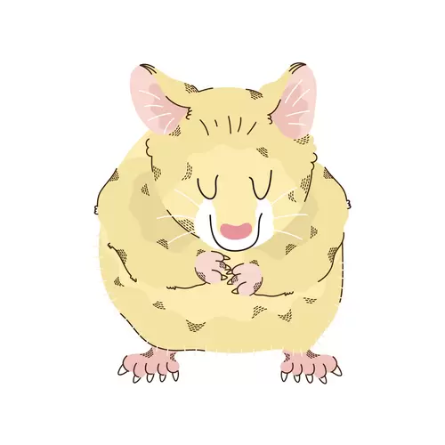 卡通動物-倉鼠插圖