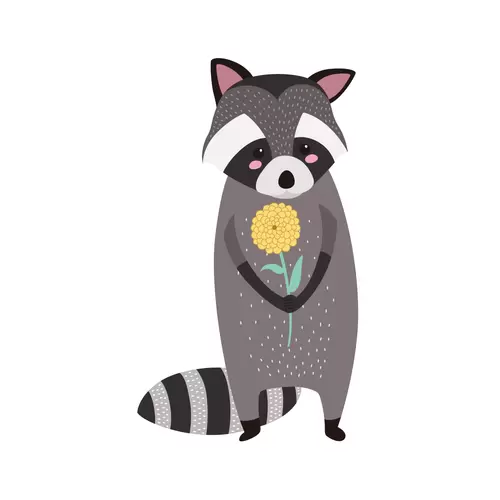 森林動物-小浣熊插圖素材
