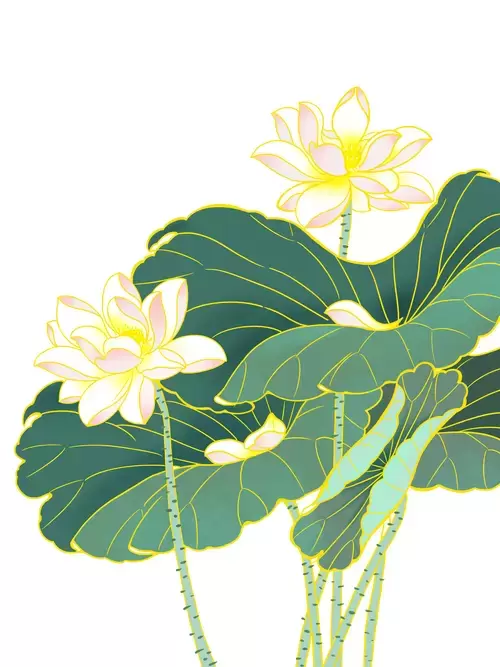 黄莲花插圖素材