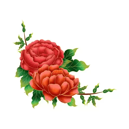 紅牡丹花插圖素材