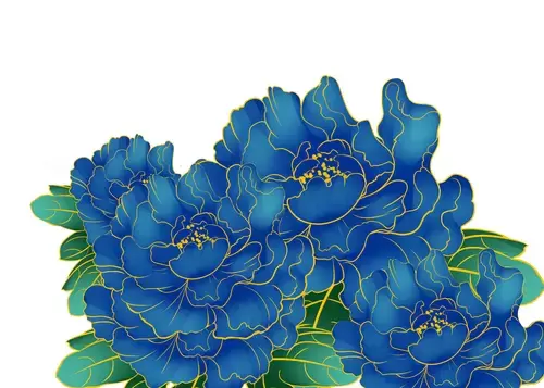藍色牡丹花插圖