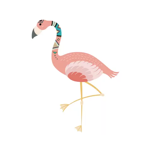 森林動物-火烈鳥插圖