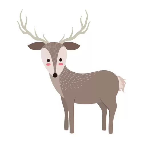 森林動物-梅花鹿插圖