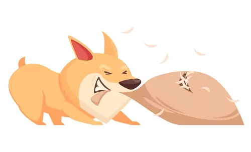 寵物狗-拆家插圖