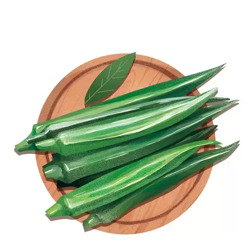 蔬菜-秋葵插圖素材