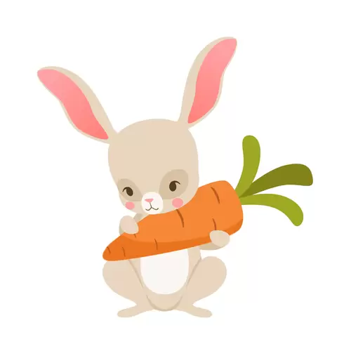 可愛兔子-紅蘿蔔插圖