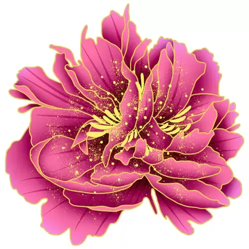 紫色牡丹花插圖