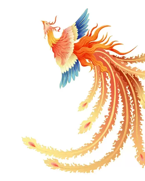 鳳凰插圖素材