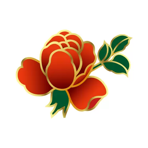 牡丹花插圖素材
