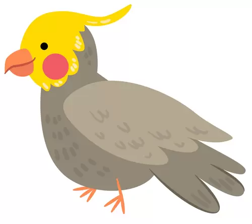 動物-鳥插圖