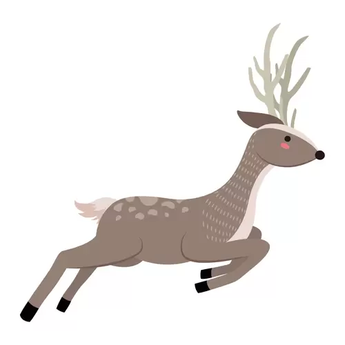 森林動物-奔跑的梅花鹿插圖