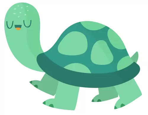 動物頭像-烏龜插圖
