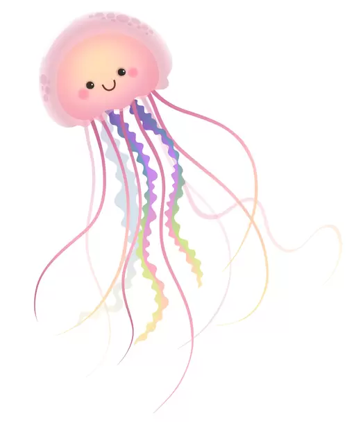 動物-水母-寶寶插圖