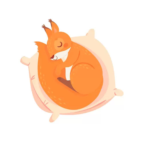 小松鼠-睡覺插圖