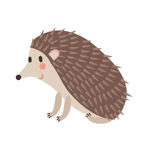 森林動物-刺猬插圖
