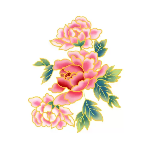 粉紅牡丹插圖