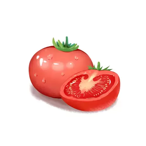 蔬菜-西紅柿插圖