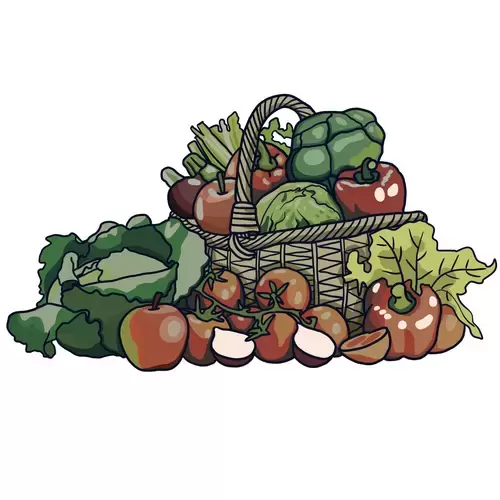 蔬菜插圖