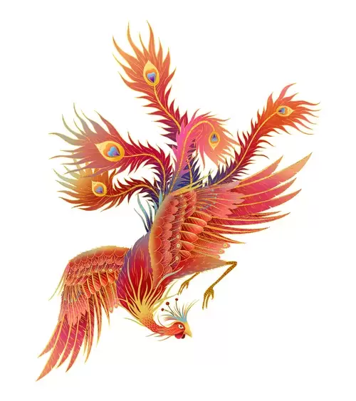 鳳凰插圖素材