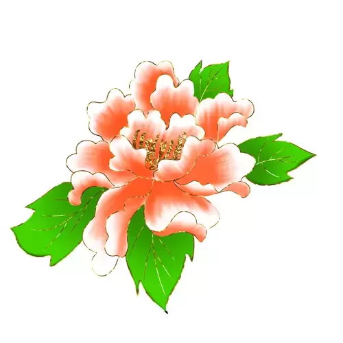 牡丹花插圖