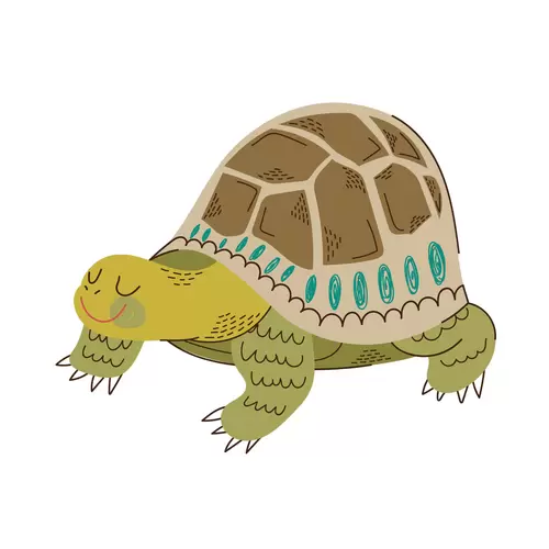 卡通動物-烏龜插圖