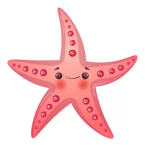 海洋動物-海星插圖