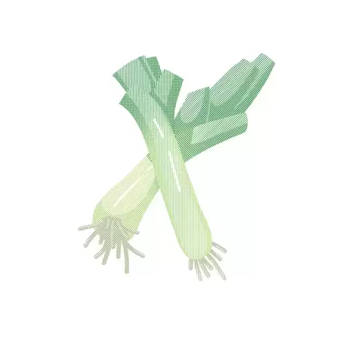 蔬菜-大蔥插圖素材