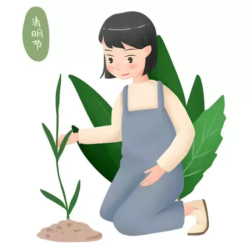 清明節-少女種樹插圖