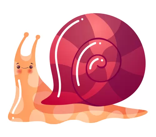 海洋動物-蝸牛插圖