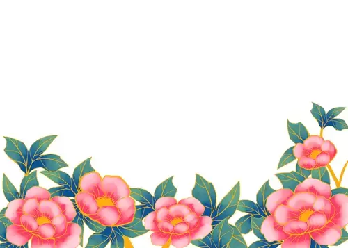 牡丹花插圖素材