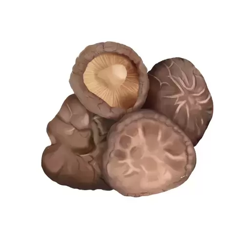 蔬菜-香菇插圖素材
