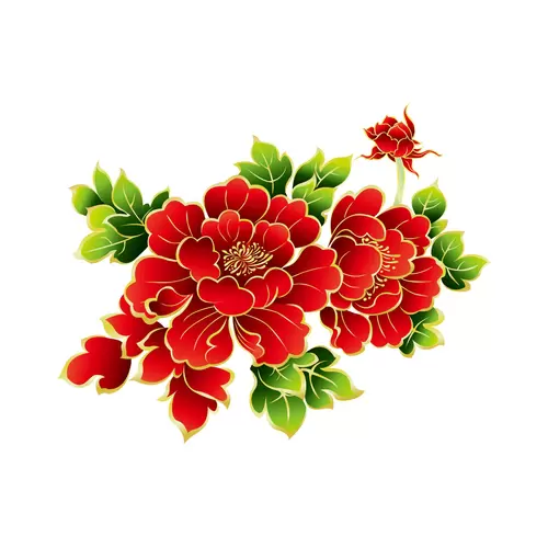 牡丹花插圖