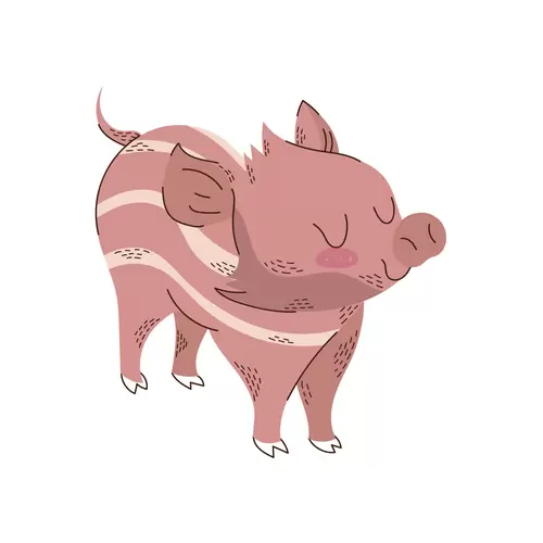 卡通動物-豬-粉色豬插圖
