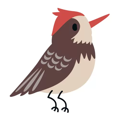 森林動物-小鳥插圖